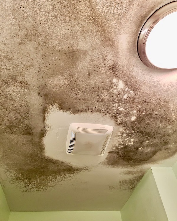 Mold growth on bathroom ceiling before remediation