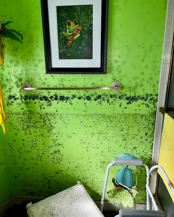 Water damage and mold in kitchen area