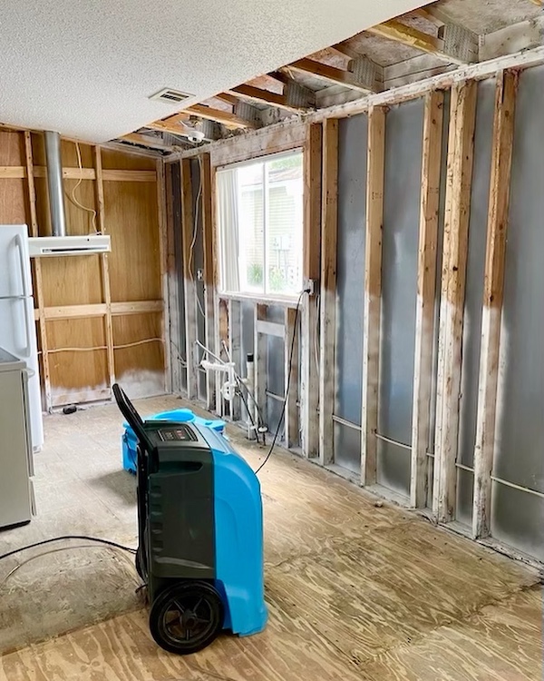 Mold remediation in progress with dehumidification equipment