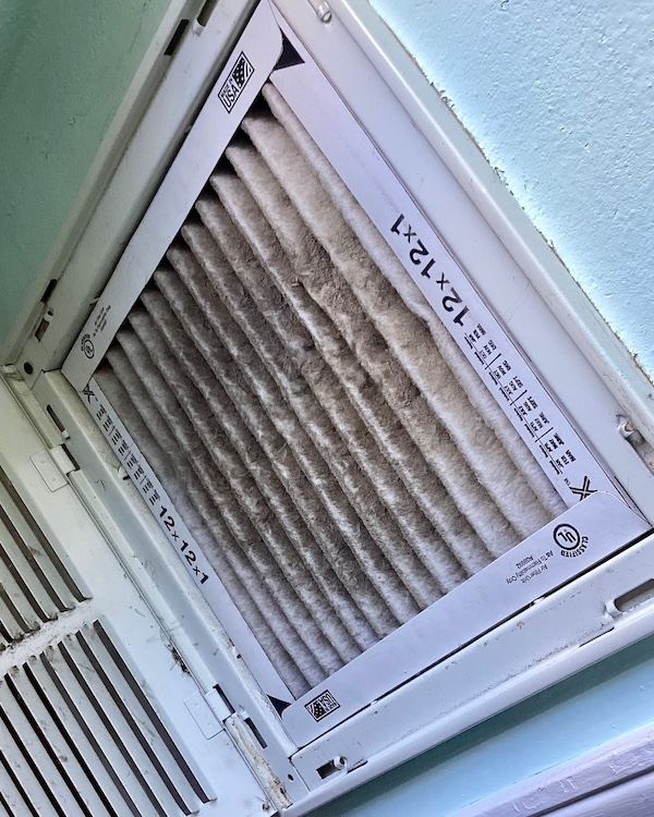 Mold remediation technician treating affected surfaces