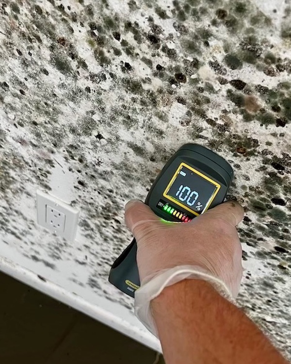 Before and after mold removal on drywall